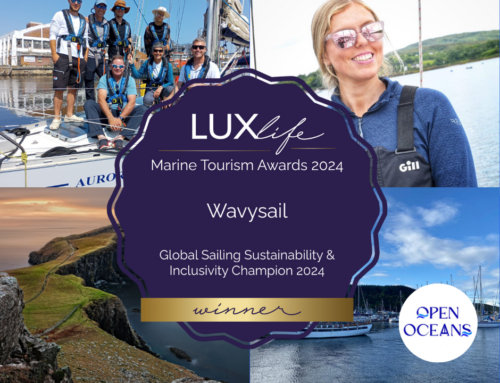 Wavysail named 2024 Global champion for sustainable & inclusive sailing